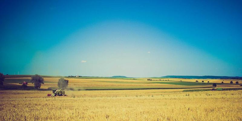 先锋时尚的破局之道：解码马可图奇创意作品与高端品牌的联名艺术