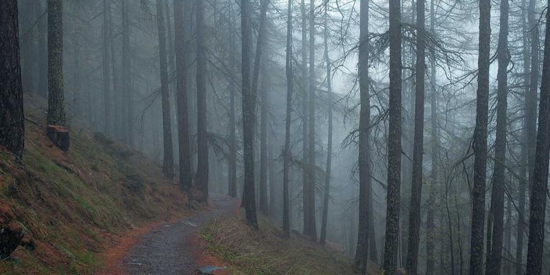 先锋设计师马可图奇如何用数字绘画与叙事构图重新定义时尚插画