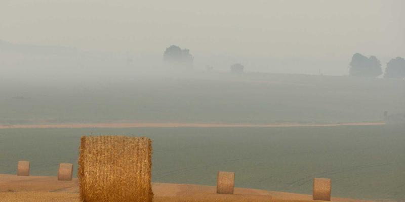 未来主义概念艺术新纪元：马可图奇数字时装秀的沉浸式体验设计突破