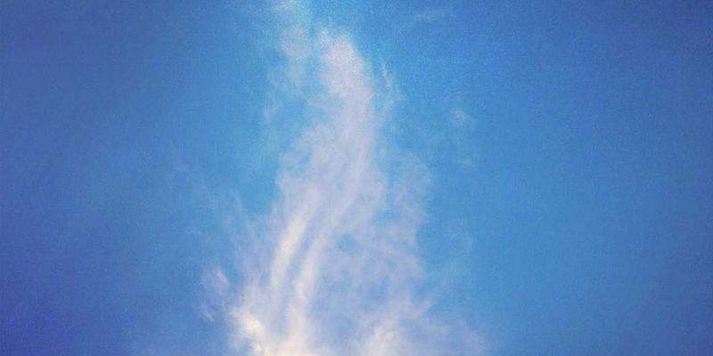 未来主义的视觉革命：解码马可图奇概念艺术中的生物机械融合美学