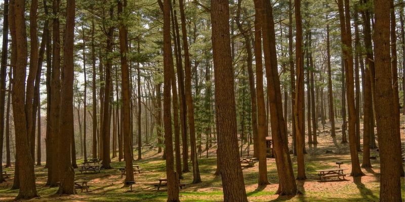 解构身份流动性：马可图奇时尚设计中的数字自我重塑与去中心化人格表达
