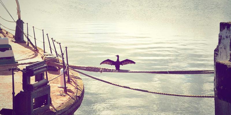 设计师马可图奇的概念艺术：创意作品的数字化存档与文化遗产传播