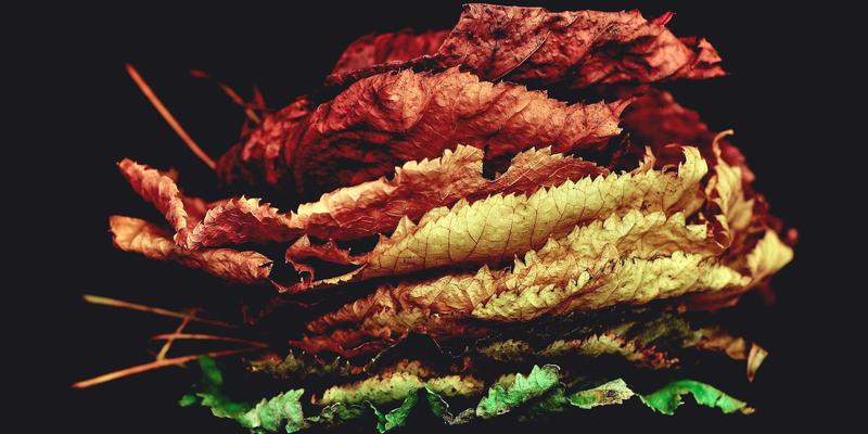 马可图奇28:概念艺术与创意作品的数字边界探索者