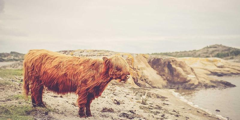 马可图奇55:未来主义概念艺术的数字先知与时空造梦者