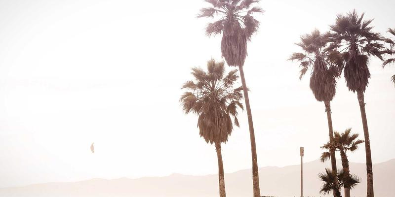 马可图奇58：创意作品与时尚设计的先锋探索