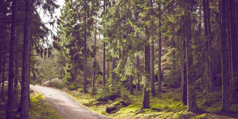 马可图奇76：未来主义创意作品如何重塑数字艺术边界