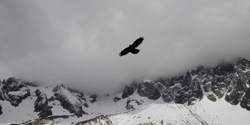 马可图奇：时尚设计与未来主义科幻影视的跨界对话