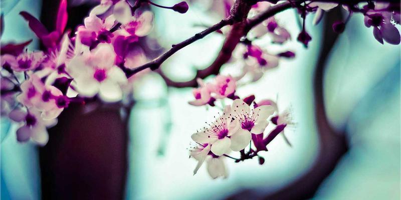 马可图奇：解构未来主义的先锋时尚设计师及其创作哲学