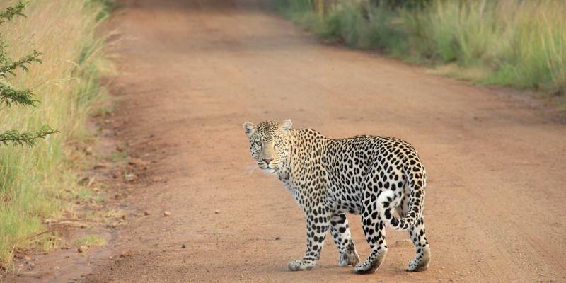 马可图奇趋势：解码未来主义时尚设计的先锋密码